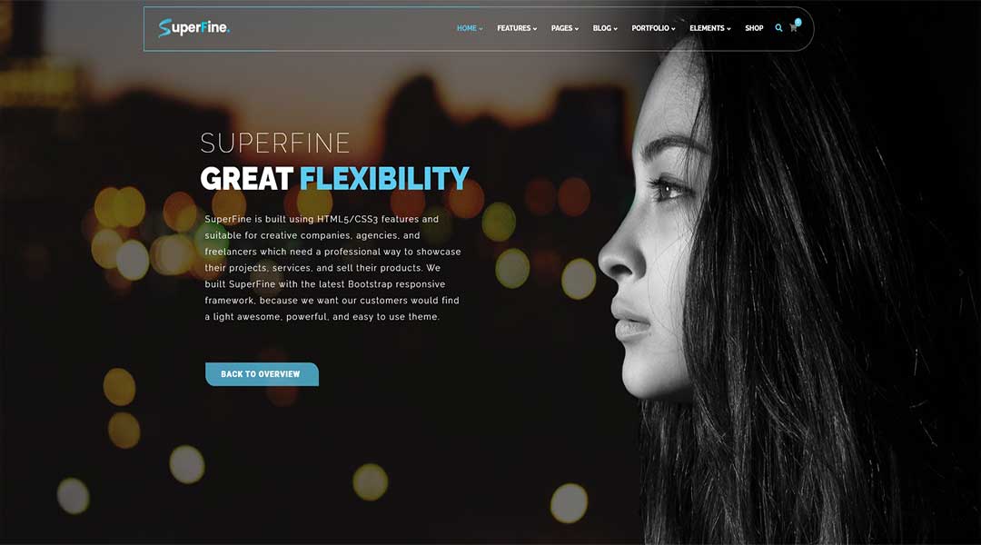 SuperFine - Multipurpose WordPress Theme