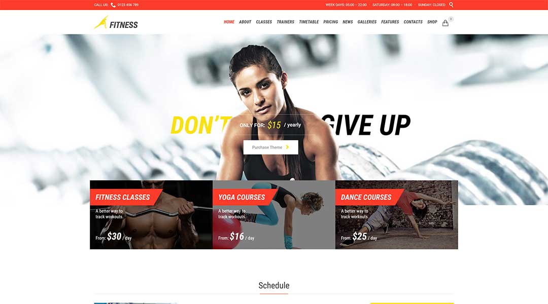 Fitness - modern WordPress business theme