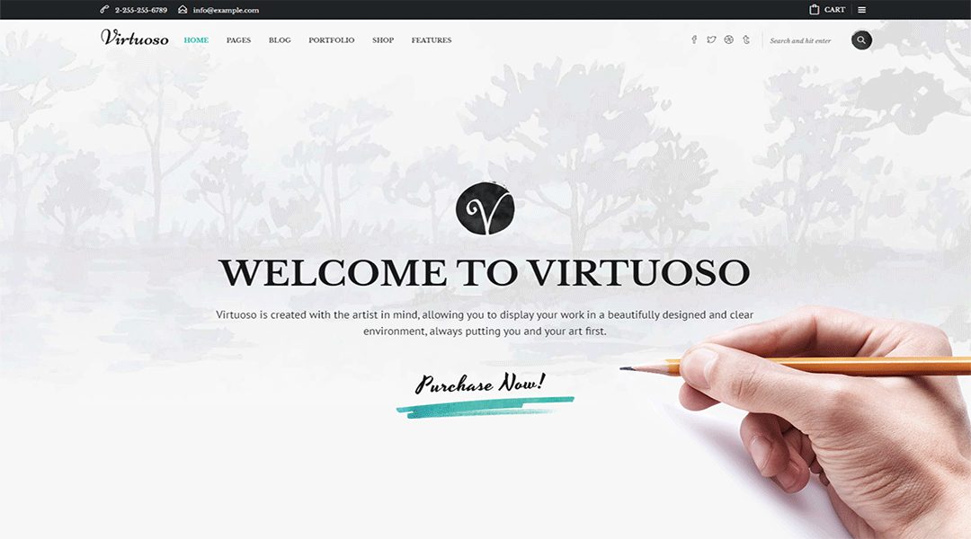 Virtuoso - Best wordpress theme