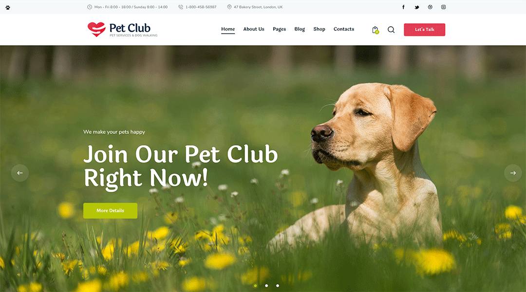 Petclub - outstanding wordpress pet theme
