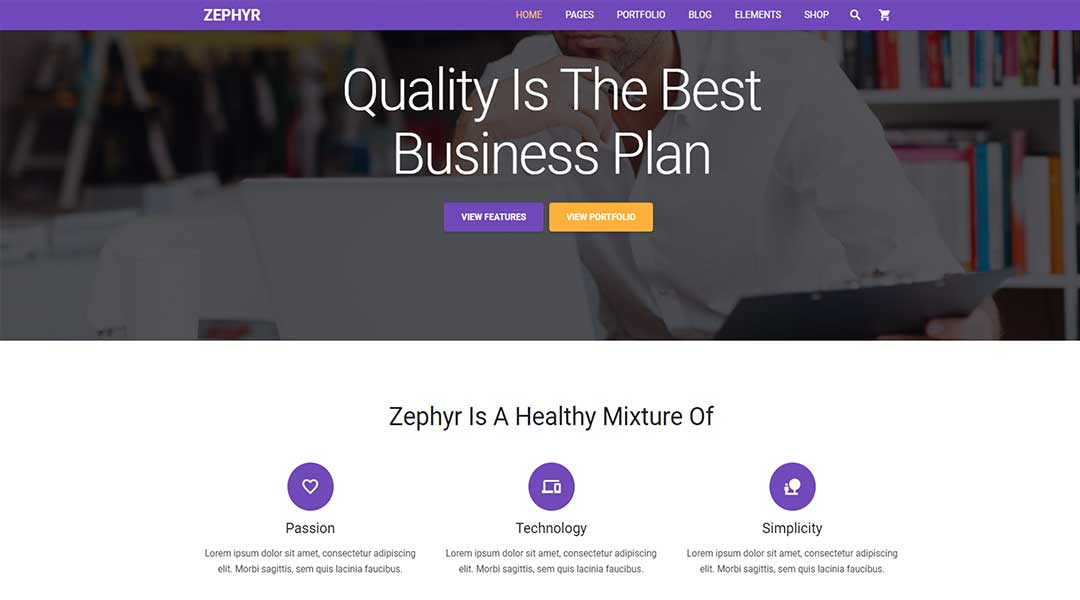Zephyr - fantastic corporate WordPress theme