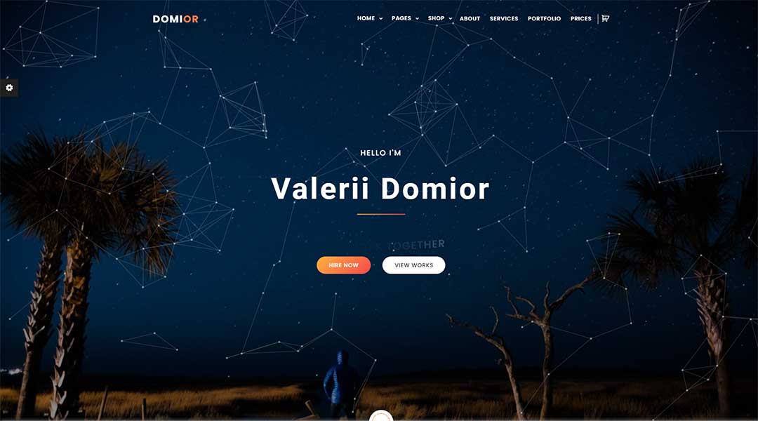 Domior - Creative Personal Portfolio WordPress Shop Theme