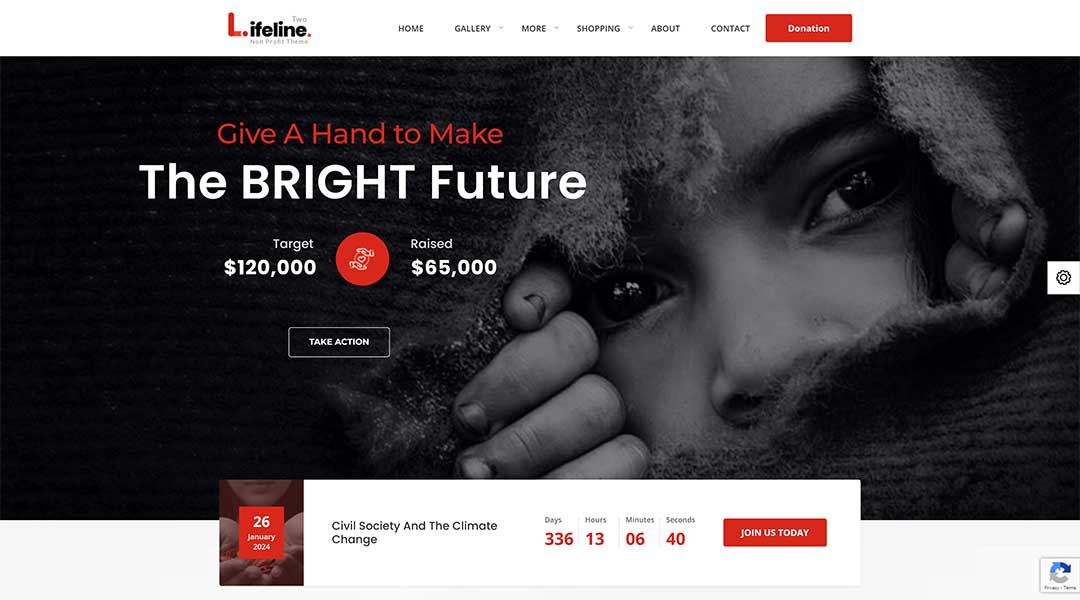 Lifeline 2 - An Ultimate Nonprofit WordPress Theme for Charity