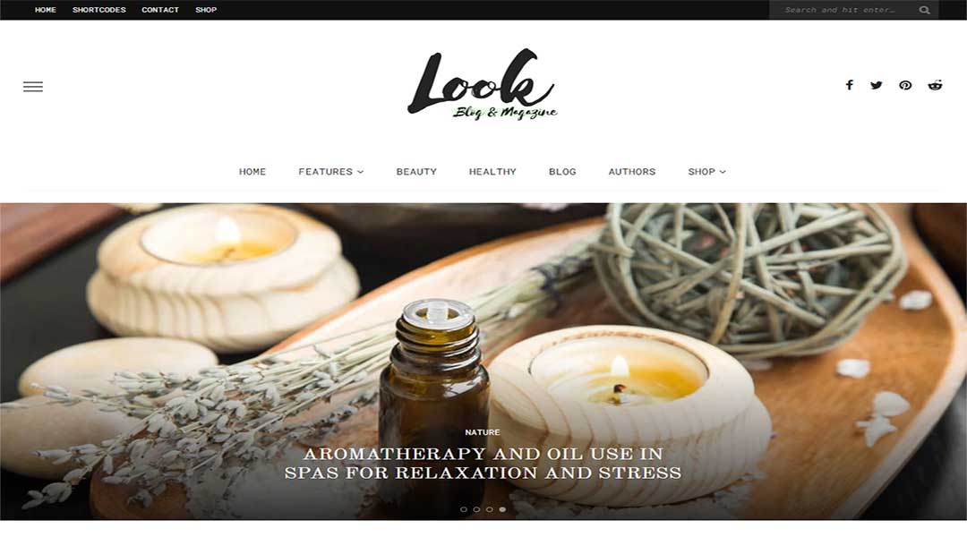 Look - Minimal Magazine and Blog WordPress Theme